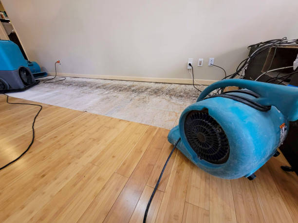 Professional Sewage Cleanup technician working in Page, AZ